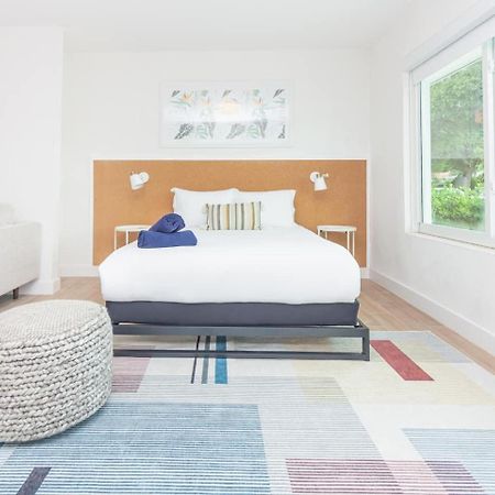 Large Stylish Studio Apartment In El Portal #3 마이애미 외부 사진